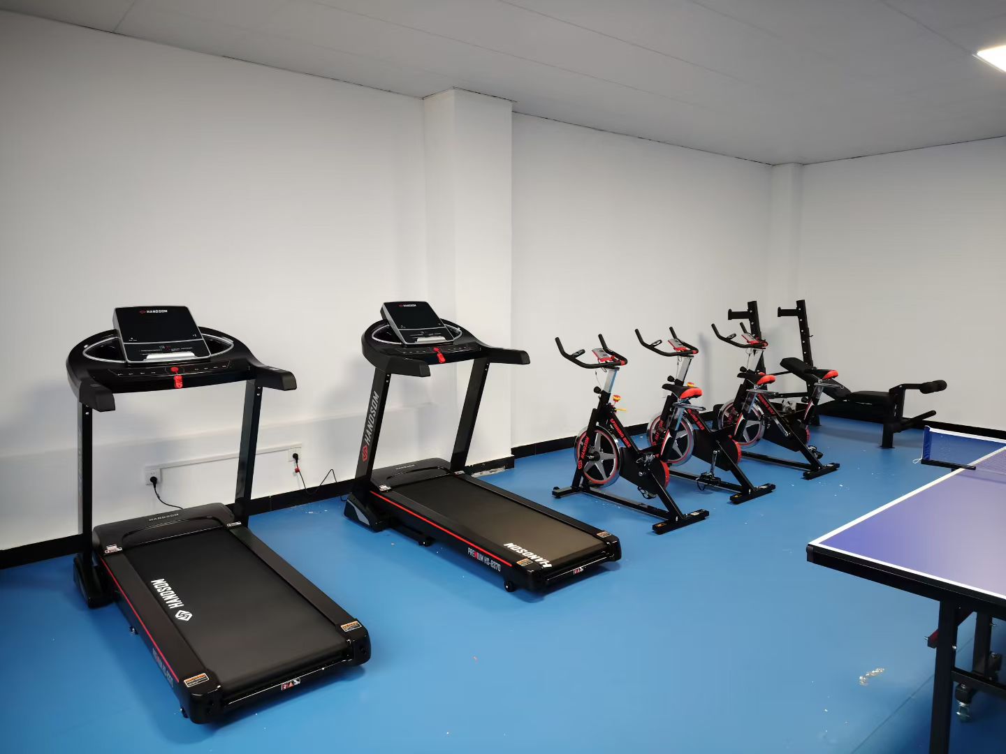 悍德森| 河南某事业单位 健身房配置方案